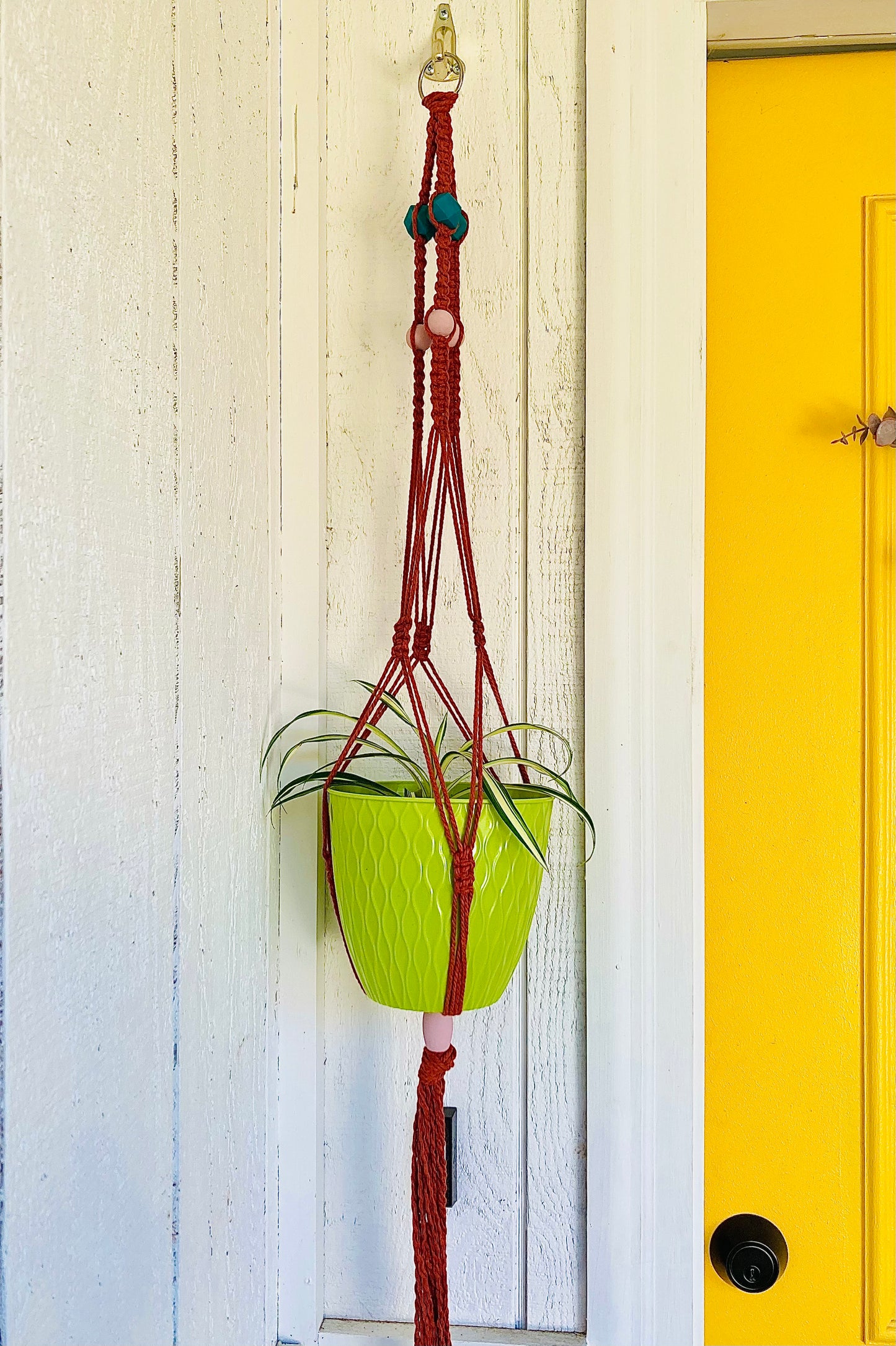 Macrame Plant Hangers