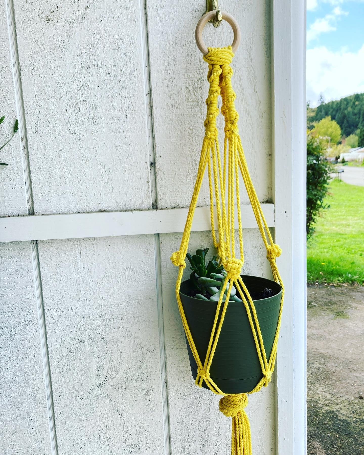 Macrame Plant Hangers