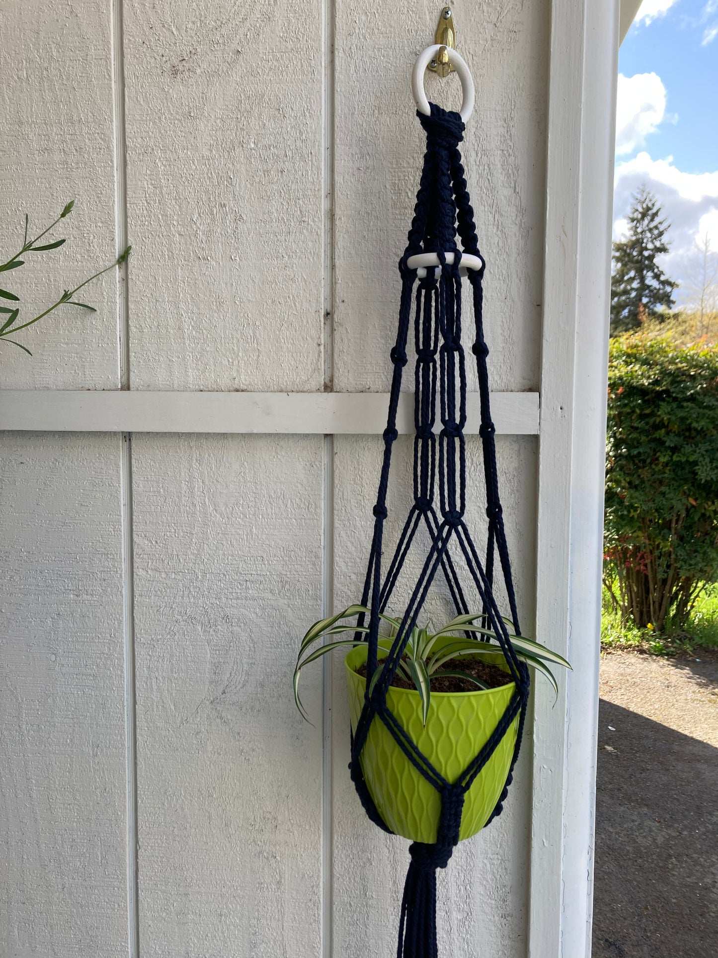 Macrame Plant Hangers