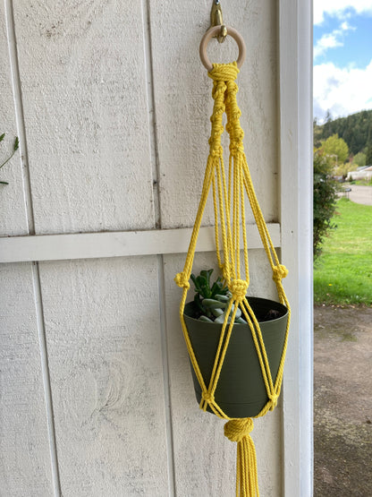 Macrame Plant Hangers